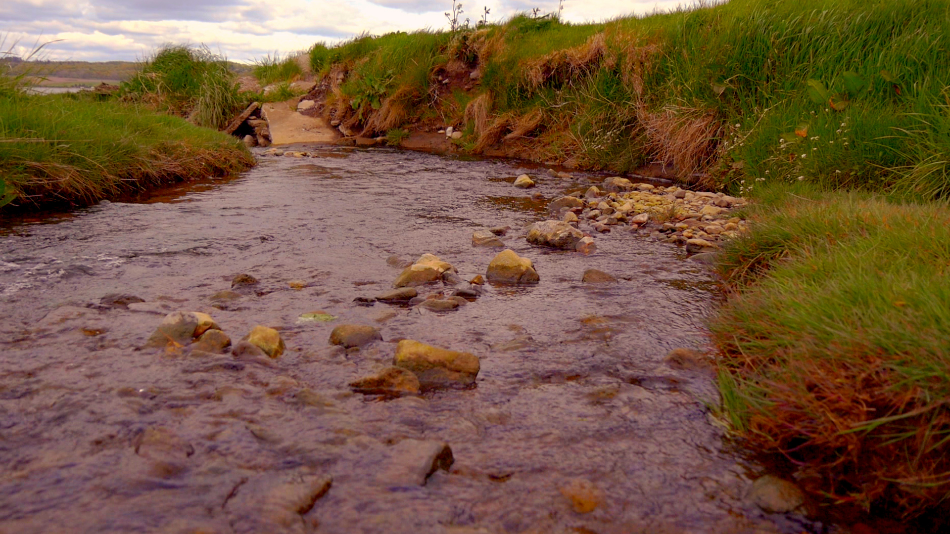 Bunchrew Burn