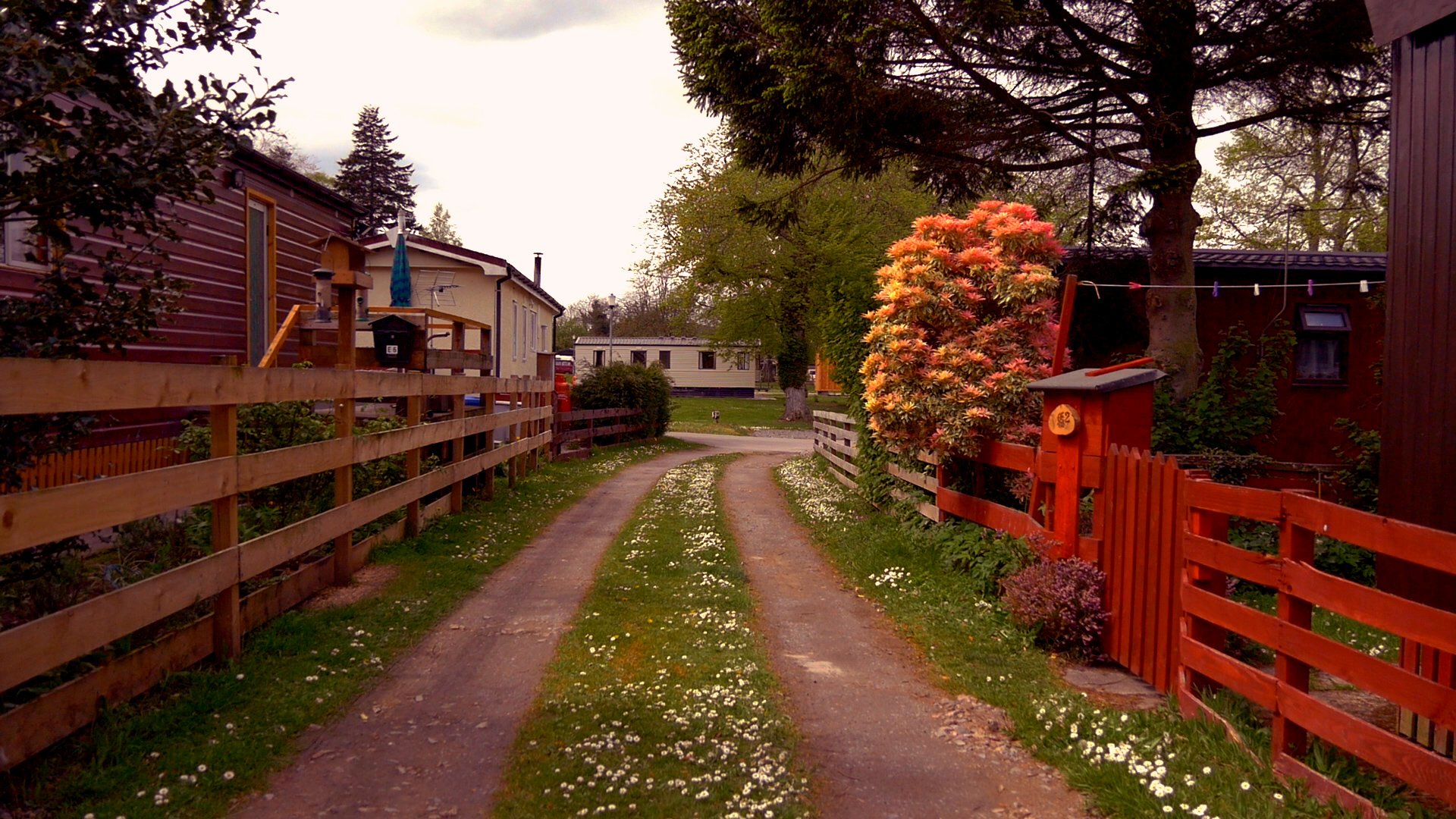 Residential homes